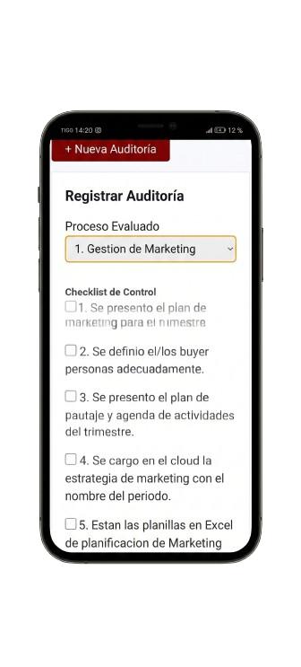 Auditorias Digitales